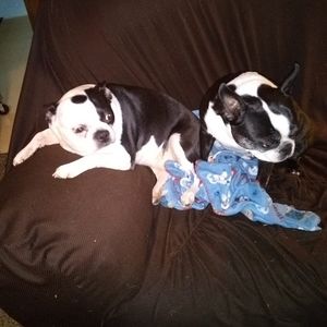 Meet your Posher, Debbie